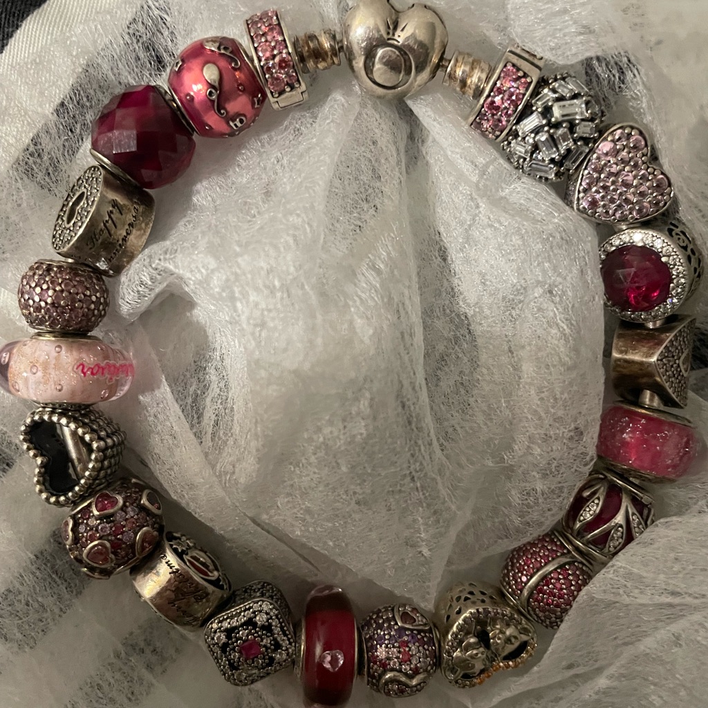 Pandora Bangle With All The Charms Pictured